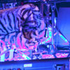 Ira´s World Live 2010/10