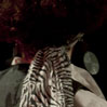 Ira´s World Live 2010/2