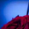 Ira´s World Live 2010/22