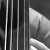 torsten steudinger bass solo stories 2011/28