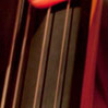 torsten steudinger bass solo stories 2011/47