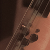 torsten steudinger bass solo stories 2011/54